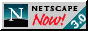 NETSCAPE Literally Right This Second! 3.0